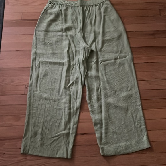 Madewell green pull on wide leg pant NWT - Picture 2 of 5